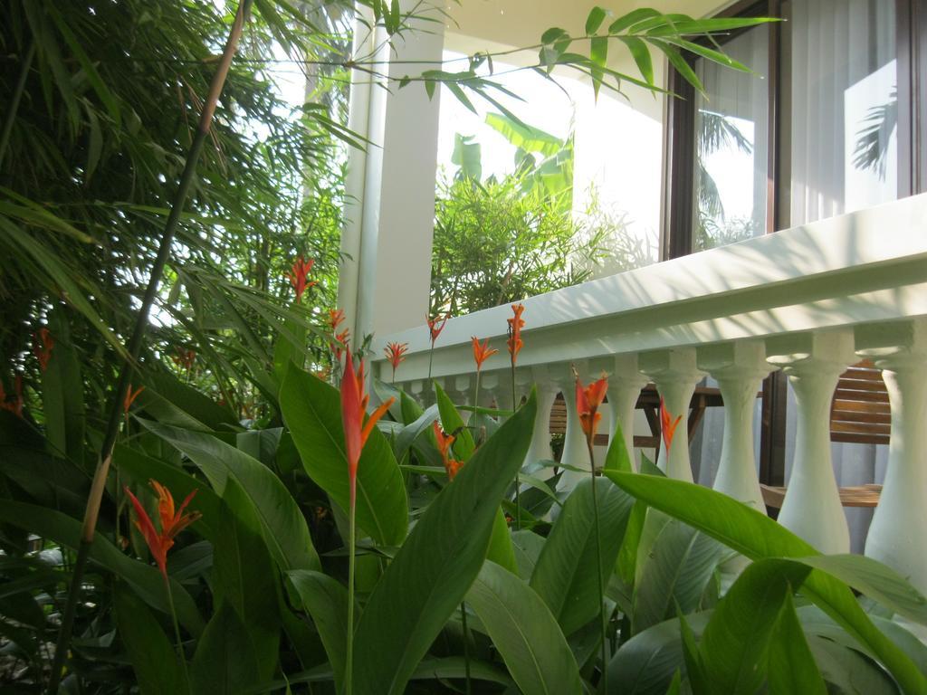 Palm View Villa Hoi An Eksteriør billede