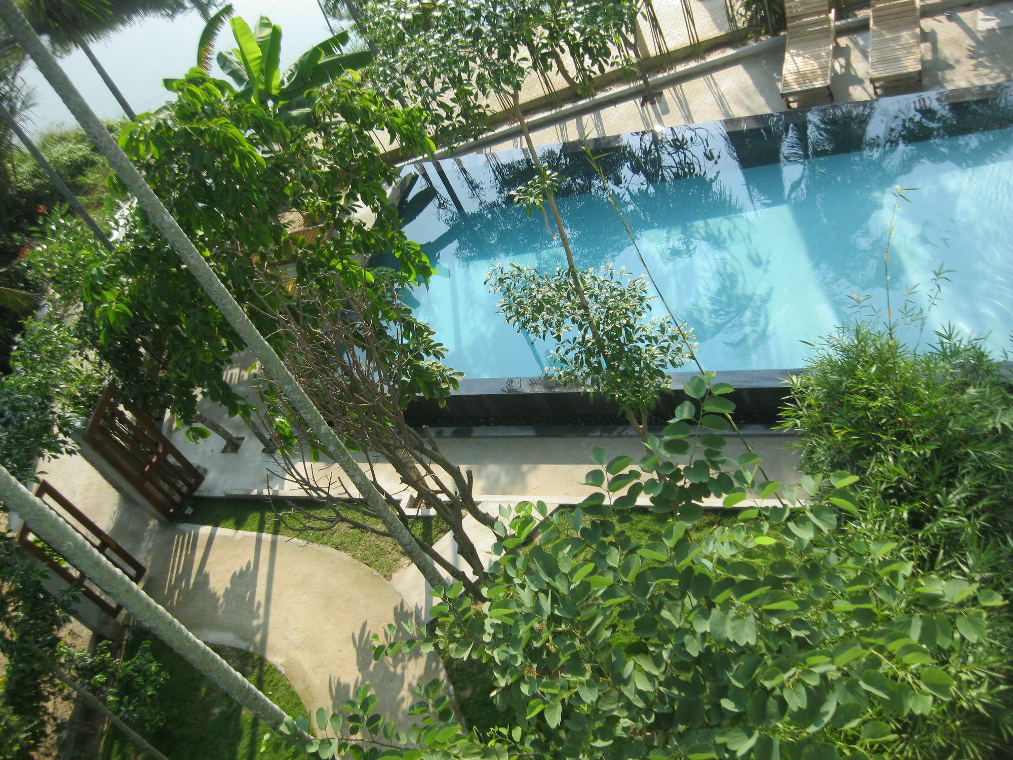 Palm View Villa Hoi An Eksteriør billede